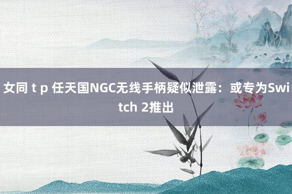 女同 t p 任天国NGC无线手柄疑似泄露：或专为Switch 2推出