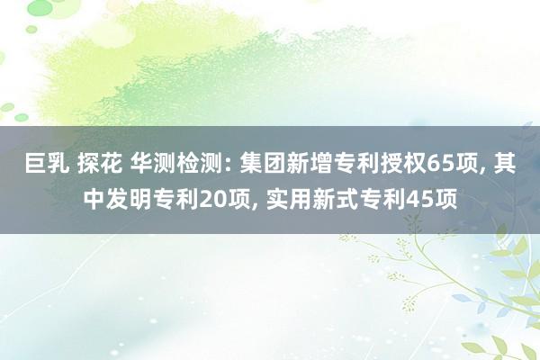 巨乳 探花 华测检测: 集团新增专利授权65项, 其中发明专利20项, 实用新式专利45项