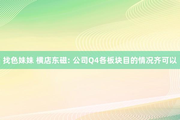 找色妹妹 横店东磁: 公司Q4各板块目的情况齐可以