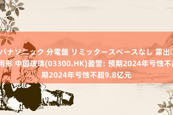 パナソニック 分電盤 リミッタースペースなし 露出・半埋込両用形 中国玻璃(03300.HK)盈警: 预期2024年亏蚀不超9.8亿元