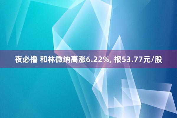 夜必撸 和林微纳高涨6.22%, 报53.77元/股