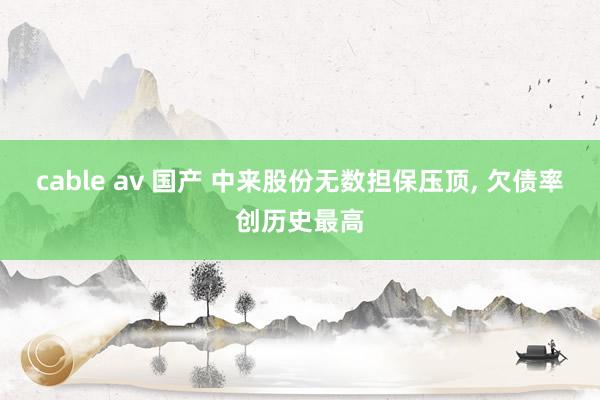 cable av 国产 中来股份无数担保压顶, 欠债率创历史最高