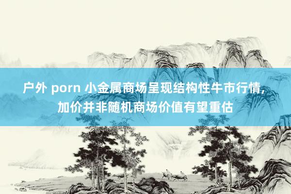 户外 porn 小金属商场呈现结构性牛市行情, 加价并非随机商场价值有望重估