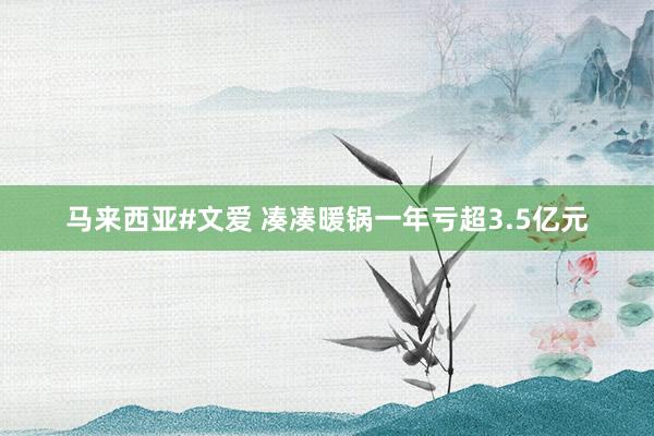 马来西亚#文爱 凑凑暖锅一年亏超3.5亿元