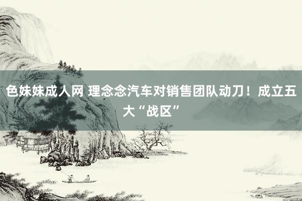 色妹妹成人网 理念念汽车对销售团队动刀！成立五大“战区”