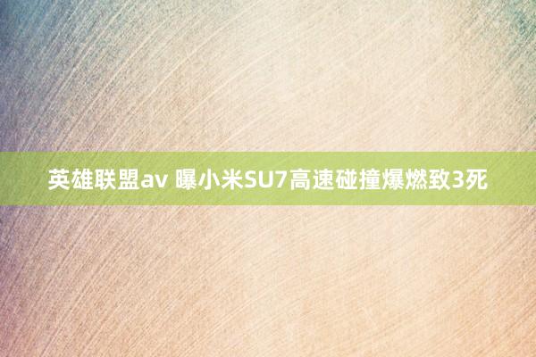 英雄联盟av 曝小米SU7高速碰撞爆燃致3死