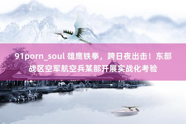91porn_soul 雄鹰铁拳，跨日夜出击！东部战区空军航空兵某部开展实战化考验