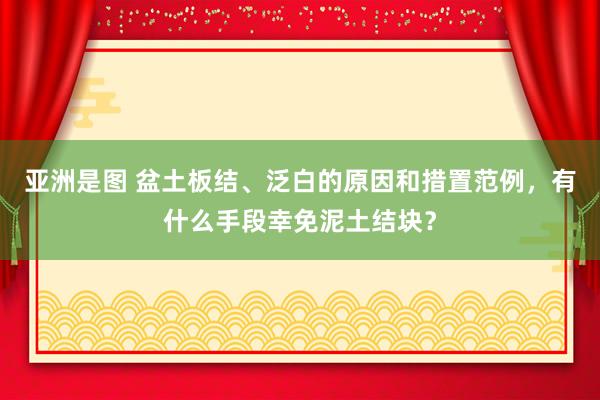 亚洲是图 盆土板结、泛白的原因和措置范例，有什么手段幸免泥土结块？