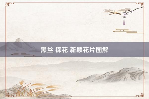 黑丝 探花 新颖花片图解