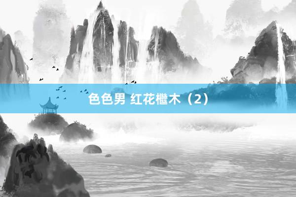 色色男 红花檵木（2）