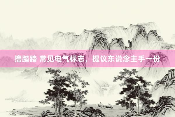 撸踏踏 常见电气标志，提议东说念主手一份