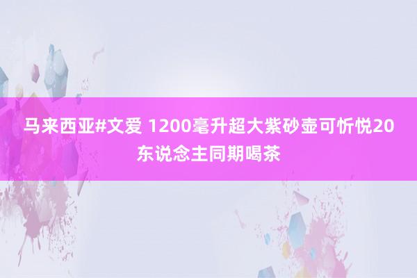 马来西亚#文爱 1200毫升超大紫砂壶可忻悦20东说念主同期喝茶