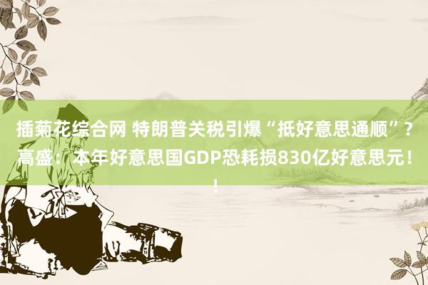 插菊花综合网 特朗普关税引爆“抵好意思通顺”？高盛：本年好意思国GDP恐耗损830亿好意思元！