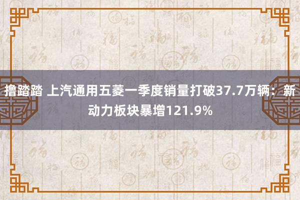 撸踏踏 上汽通用五菱一季度销量打破37.7万辆：新动力板块暴增121.9%
