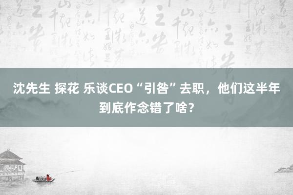 沈先生 探花 乐谈CEO“引咎”去职，他们这半年到底作念错了啥？