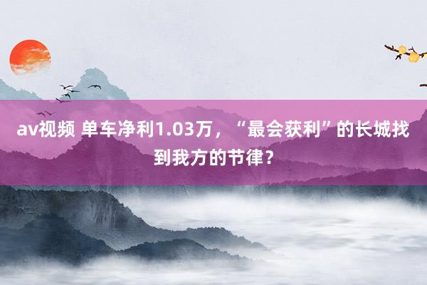av视频 单车净利1.03万，“最会获利”的长城找到我方的节律？